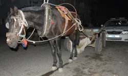 291 promil ile at arabası kullanan sürücünin son durağı: Emniyet 0toparkı