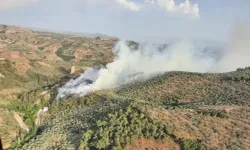 Aydın’ın Germencik ilçesinde ormanlık alanda yangın çıktı