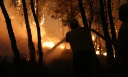 Bozdoğan’daki orman yangınında ekiplerin zorlu mücadelesi gece boyunca sürdü