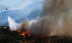 Piknik uğruna 17 evi yaktılar! Koca şehir seferber oldu