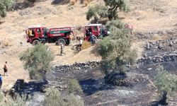 Koçarlı’da zeytinlik alanda yangın çıktı