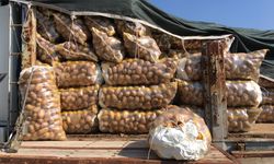 Patates ve Soğan Piyasası Durma Noktasına geldi