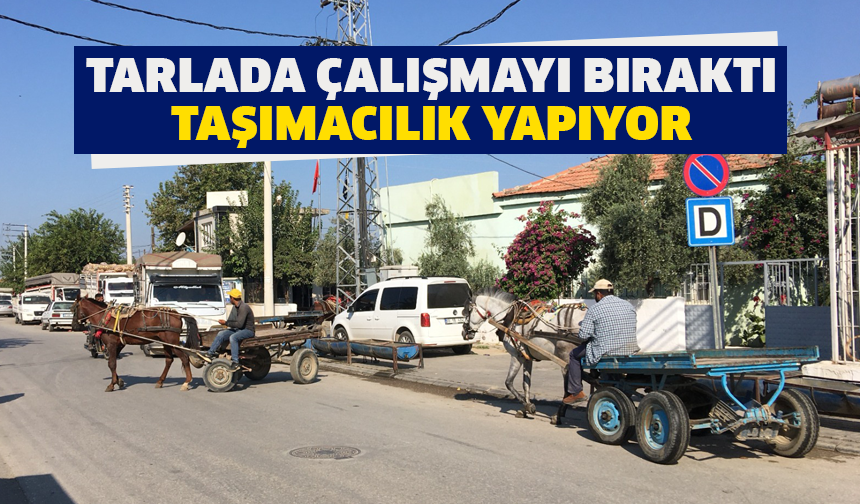 Tarlada çalışmayı bıraktı taşımacılık yapıyor